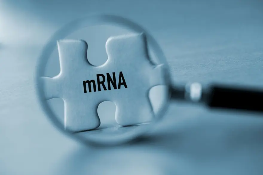 Kanser aşısına geri sayım başladı 