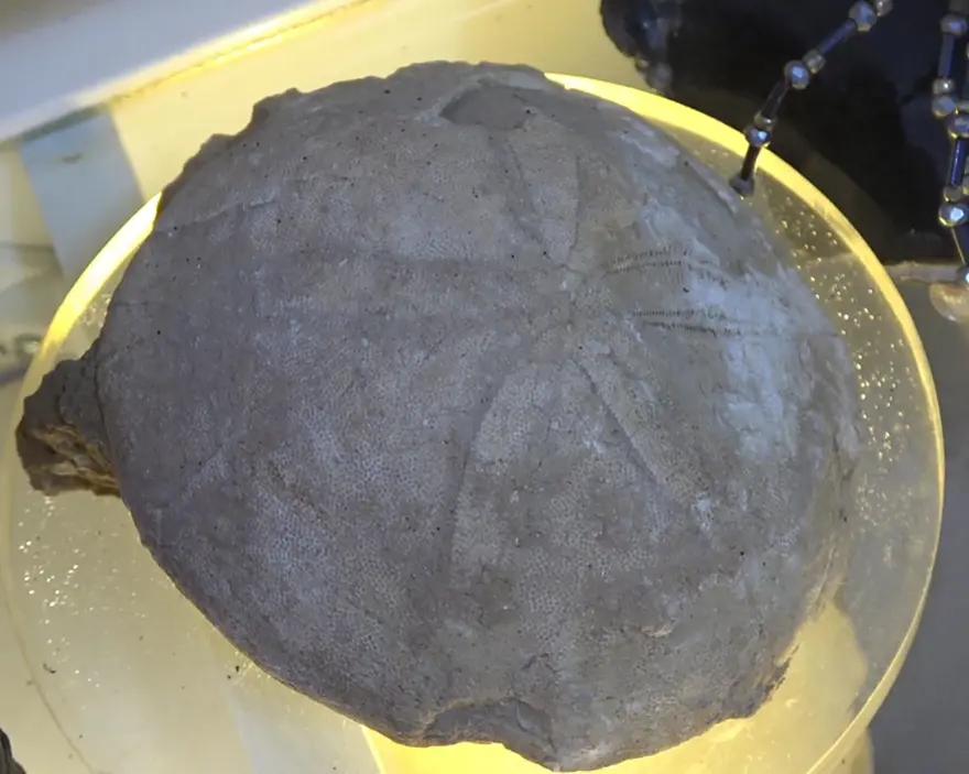 'ERZURUM'DA KALINTILARIN HEPSİNİ GÖREBİLİYORUZ' 3