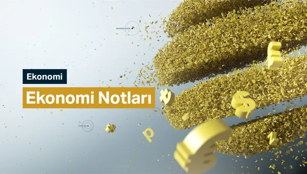 EKONOMİ NOTLARI