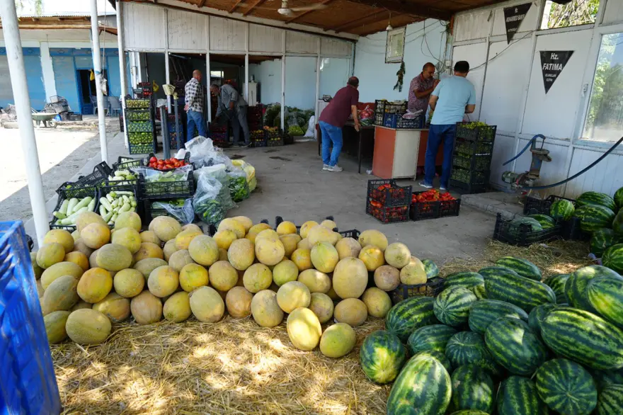 Doğu'nun Çukurova'sı olarak biliniyor, çevre illere satılıyor! Lezzeti bereketli topraklarda gizli 3