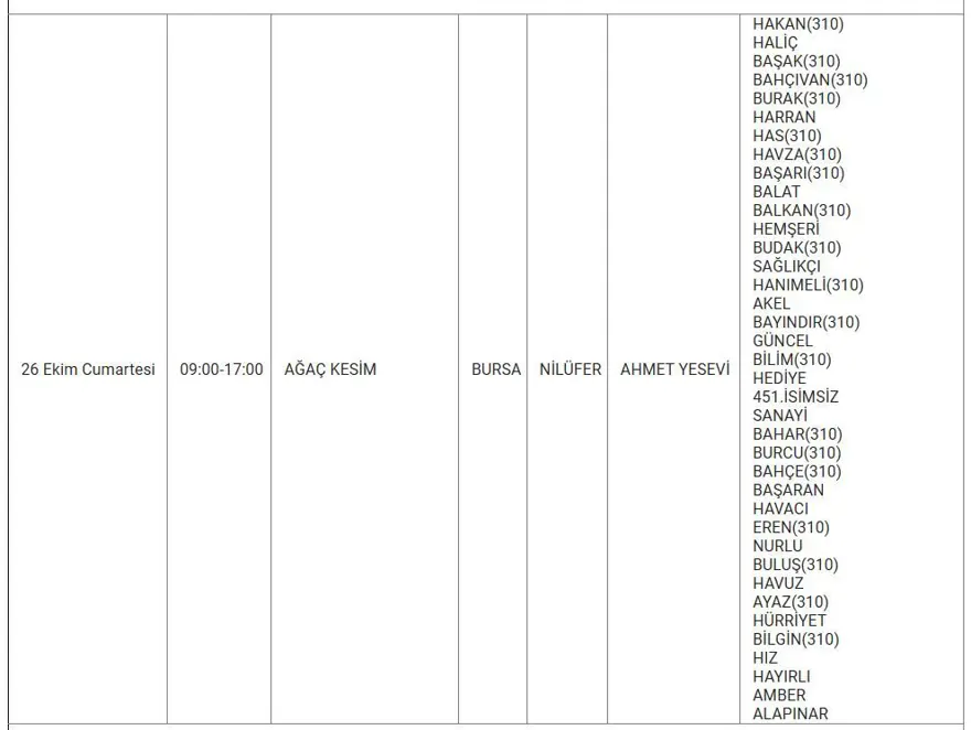 Bursa'nın 8 ilçesinde elektrik kesintisi: Bursa'da elektrikler ne zaman gelecek? 6