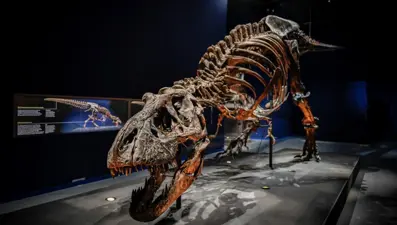New Mexico'da dinozorların kralı T-Rex'in bilinen en yakın akrabası keşfedildi