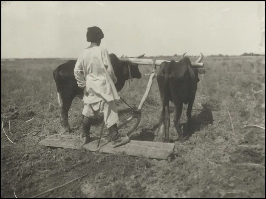 Bilim kurgu değil Türk boylarının 111 yıllık fotoğrafları. Gizemli heykeller, gelişmiş aletler, tanıdık kıyafetler (106 fotoğrafla gizemli Türk tarihi) 54