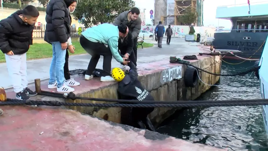 Beşitaş sahilinde dalgıçlarla kedi kurtarma operasyonu 1