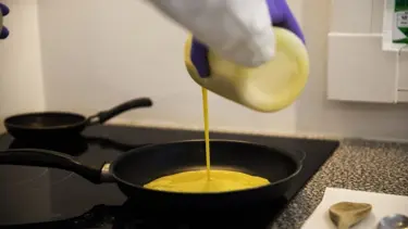 Veganlar için yumurta