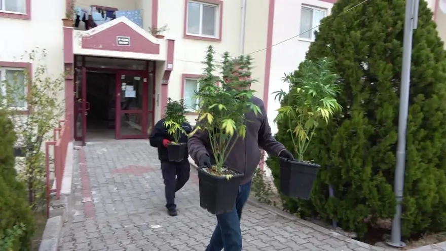 Apartman dairesini esrar bahçesine çevirmişler 5