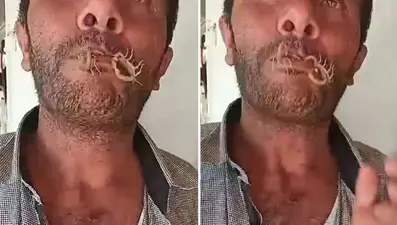 İki akrebi ağzına alıp kendini sokturdu