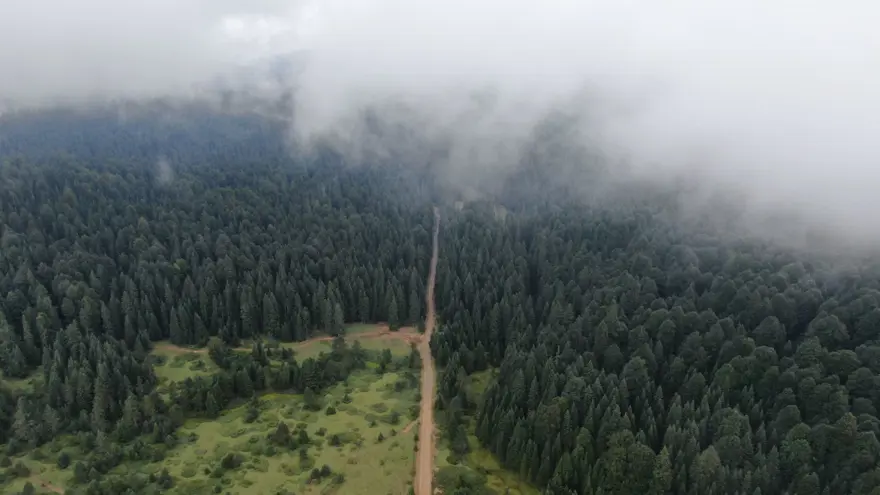 Sis altındaki Batı Karadeniz yaylaları sonbaharda da ziyaretçilerini ağırlıyor 9