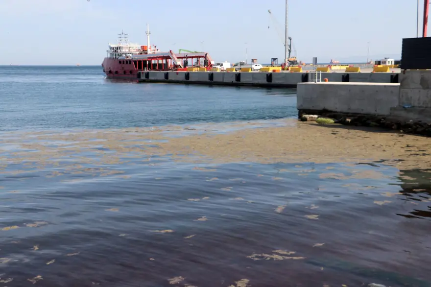 Tekirdağ'da tedirgin eden görüntü: Denizin rengi değişti, ağır koku yayıldı 3