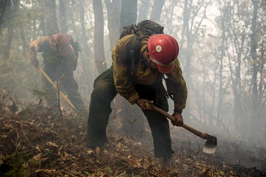 ABD'nin batısında ormanlar yanıyor 3