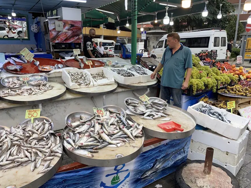 Balık avı başladı: Sezonun ilk istavrit ile hamsileri 100 liradan satışta 2