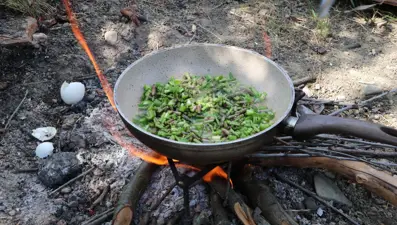 Dikenler arasındaki şifa kaynağı kuşkonmaz