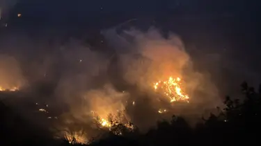 Hatay’da orman yangını: Yangının sıçradığı 4 ev söndürüldü