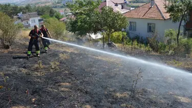 Samsun'da arazi yangını evleri tehdit etti