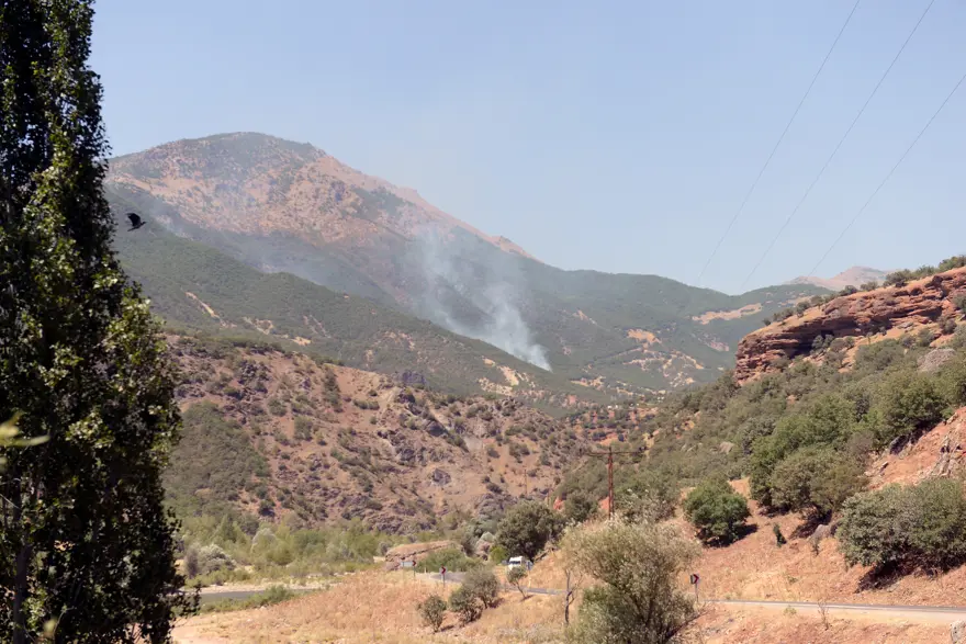 Tunceli'deki orman yangınları sürüyor 3