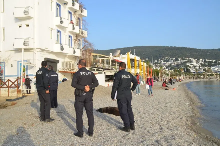 Bodrum'da sahillerde piknik yapmak yasaklandı Bodrum'da sahillerde piknik yapmak yasaklandı
