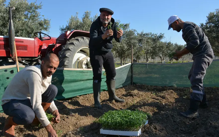 Hüsnü Şenlendirici çiftliğinde köy hayatı yaşıyor 6