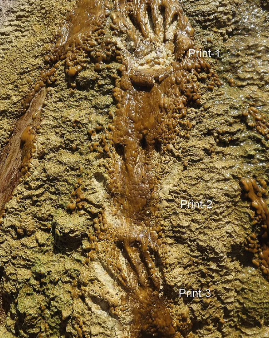 İZLERİN SANAT ESERİ OLUP OLMADIĞI SORGULANDI 3