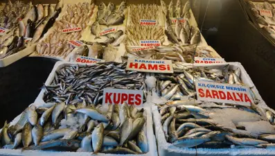 Tezgahta bolluk var: Fiyatlar kasım sonuna kadar uygun