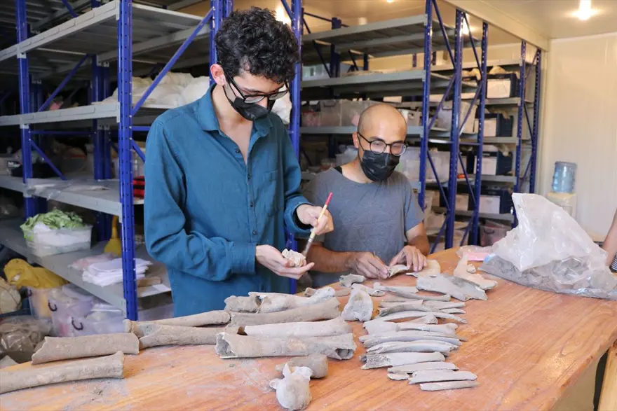 Tatarlı Höyük'te Orta Demir Çağ'a ait depolama alanı bulundu 14 Tatarlı Höyük'te Orta Demir Çağ'a ait depolama alanı bulundu 14