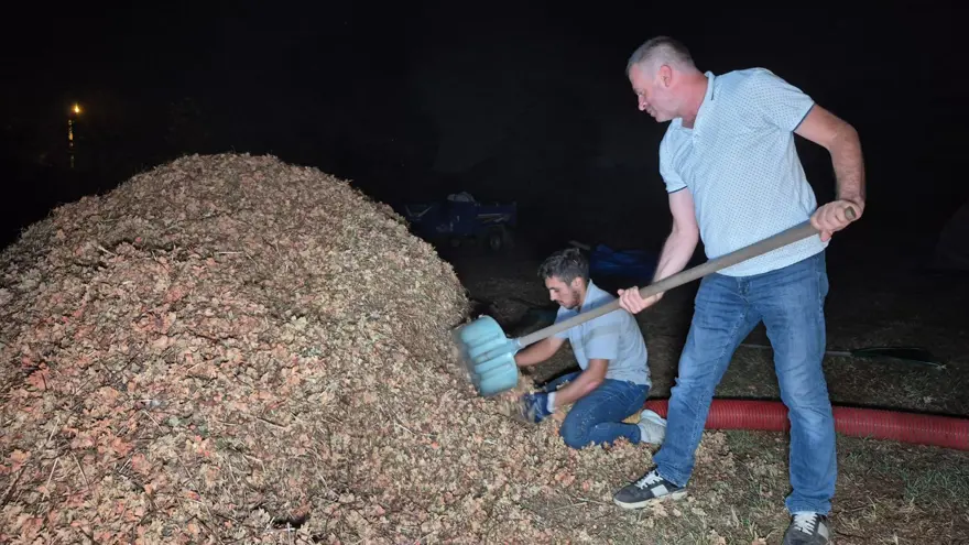Bölgenin en önemli geçim kaynağı: Hasat bitti, nöbet başladı 1 Bölgenin en önemli geçim kaynağı: Hasat bitti, nöbet başladı 1