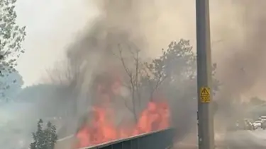 Bursa'da ağaçlık alanda yangın çıktı
