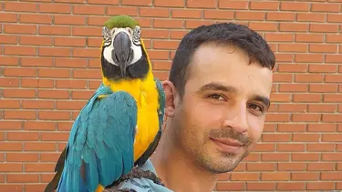 Gece iş yerinde kaldı: Sabah arkadaşları şok yaşadı