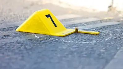 İsimleri farklı kaderleri aynı: 2024 yılında 394 kadın öldürüldü