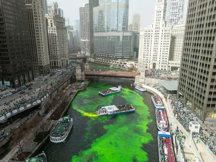 ABD'de Aziz Patrick Günü kutlamaları: Chicago nehri yeşile boyandı 