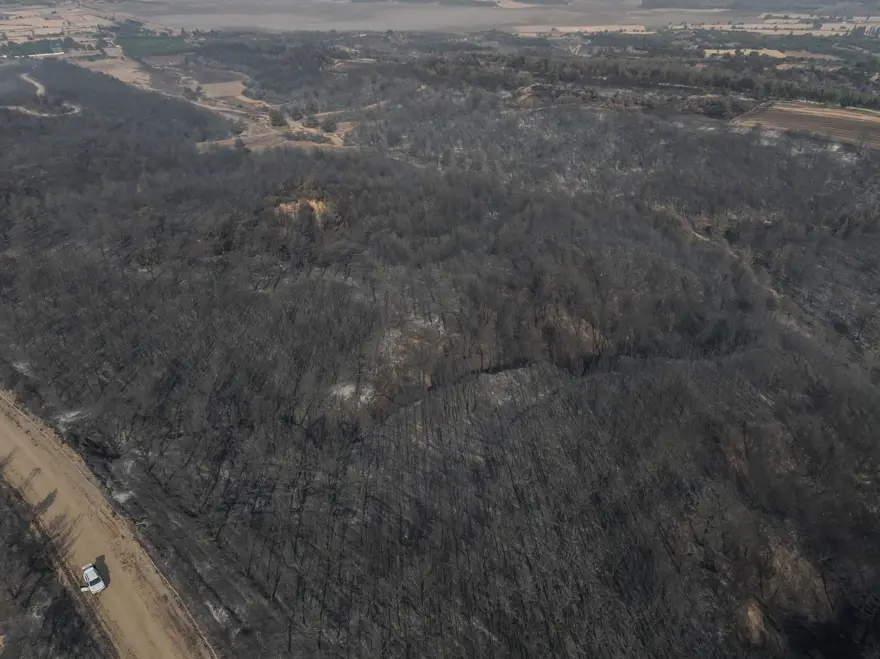 Çanakkale'de yeşil, griye döndü! Gelibolu'da yanan alanlardan can yakan görüntü 5