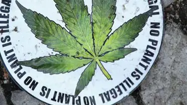 ABD'de eyaletlerin marihuana savaşı