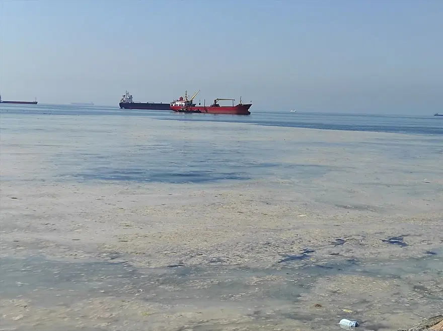 İstanbul'un bazı sahillerinde müsilaj yoğunluğu azaldı 6