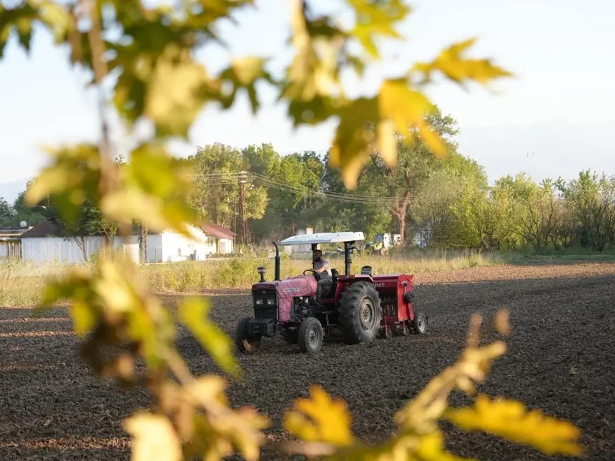 En eski buğday türlerinden biri: Artık Düzce topraklarında yetişecek 1 En eski buğday türlerinden biri: Artık Düzce topraklarında yetişecek 1