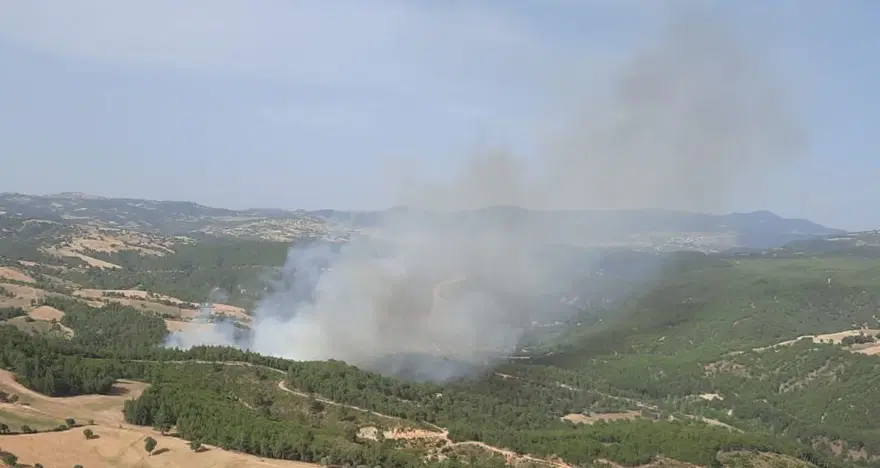 KÜTAHYA'DA ORMAN YANGINI KONTROL ALTINDA 11