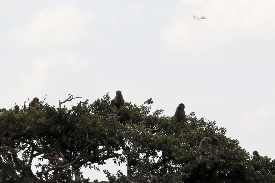 'Doğanın gözyaşı' 16