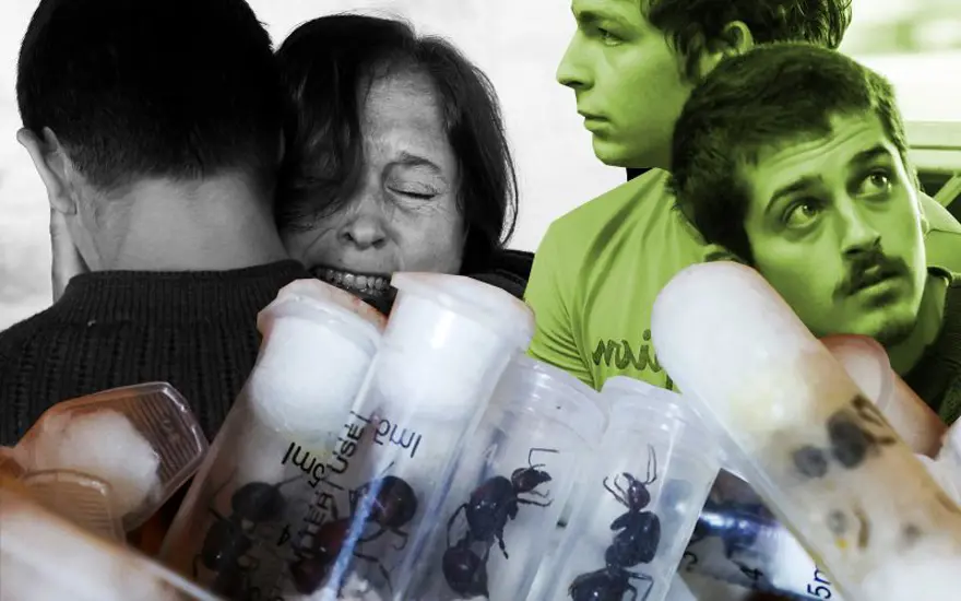 5 bin kraliçe karıncayla yakalanan 4 gence "biyolojik korsanlık" cezası 