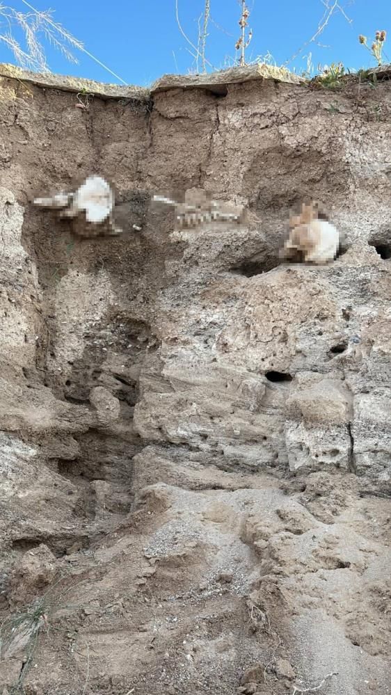 Yozgat'ta insan kafatası ve kemik parçaları bulundu