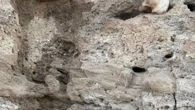 Yozgat&#x27;ta insan kafatası ve kemik parçaları bulundu