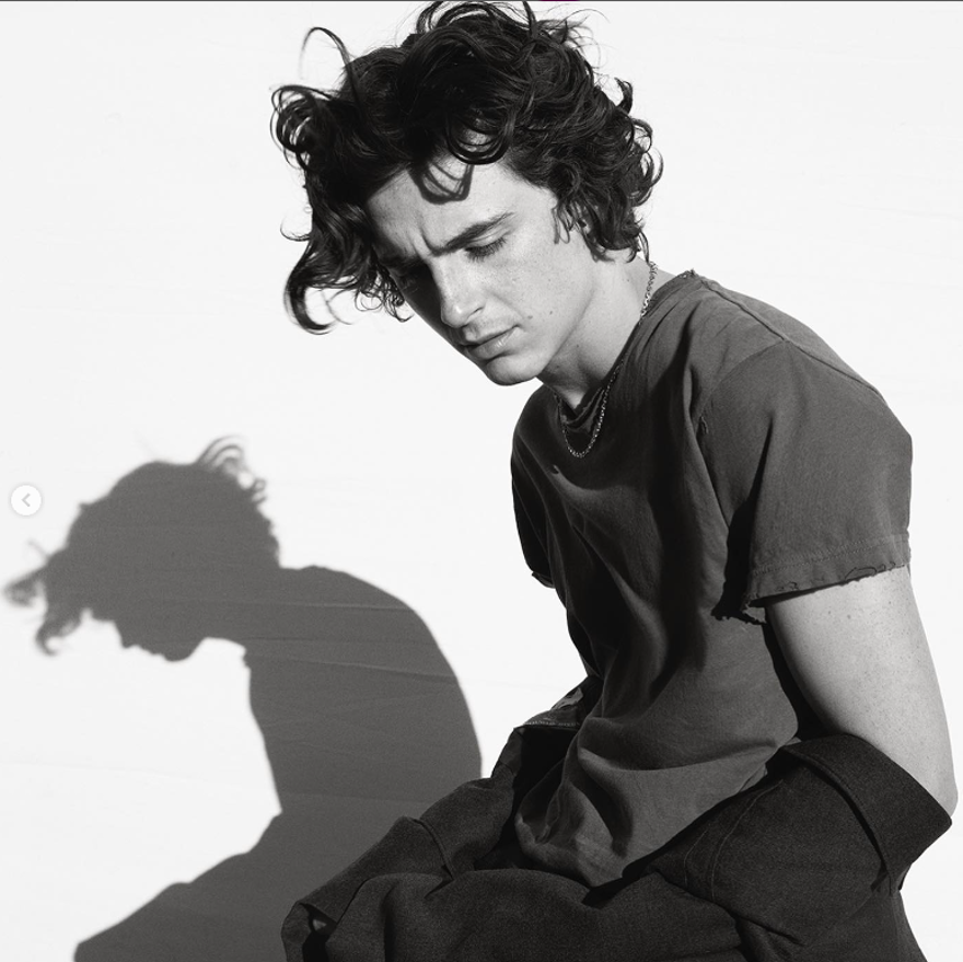Fransız moda devinin yeni yüzü: Timothee Chalamet 4