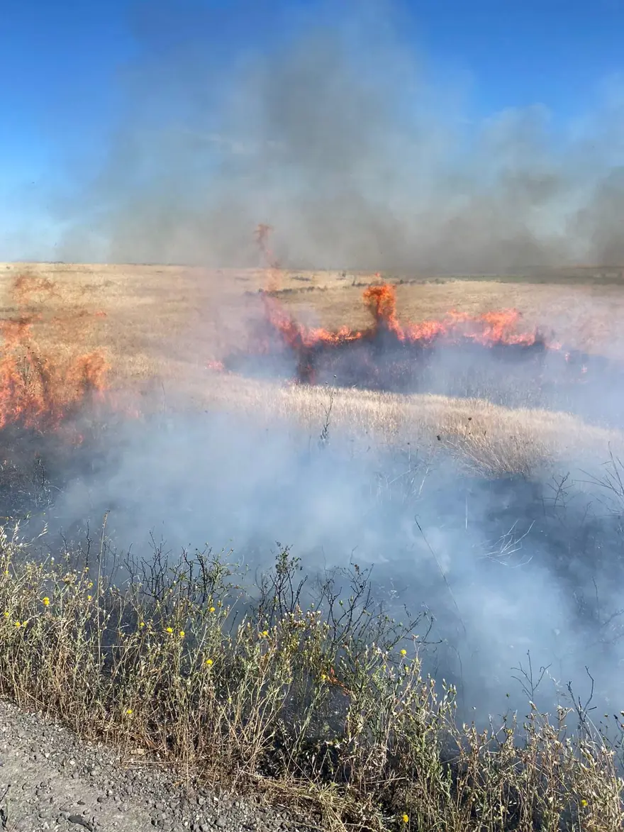 Şırnak'ta 60 dönüm buğday tarlası kül oldu 2