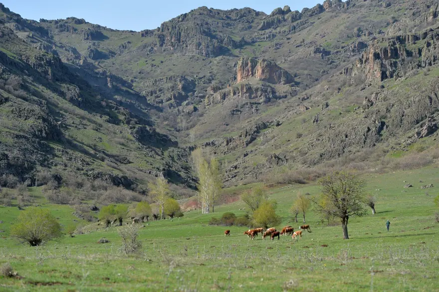 Sülüklü Göl'de ilkbahar renkleri 9