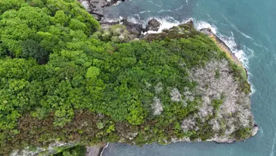 Karadeniz'in en önemli turizm merkezi: 5 bin turisti ağırlıyor