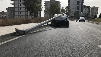 Otomobile giren sinek kazaya neden oldu