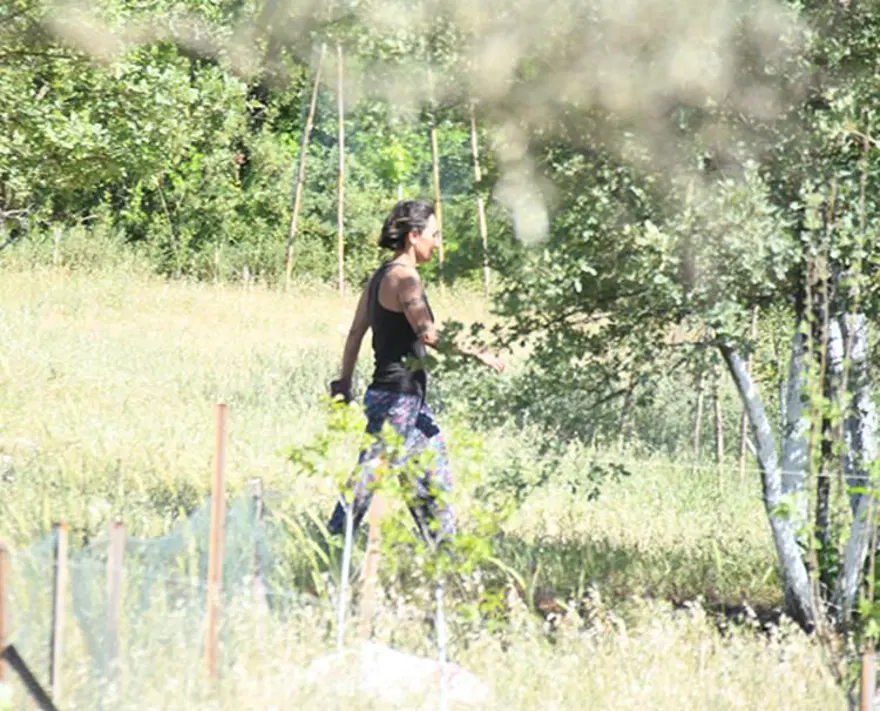 Özlem Tekin'in köy hayatı: Çiftliğini büyüttü 3