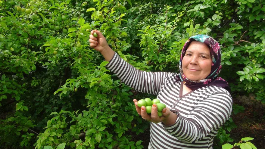 Kilosu 8 bin TL'den satılıyordu: Fiyatı 400 TL'ye kadar düştü 