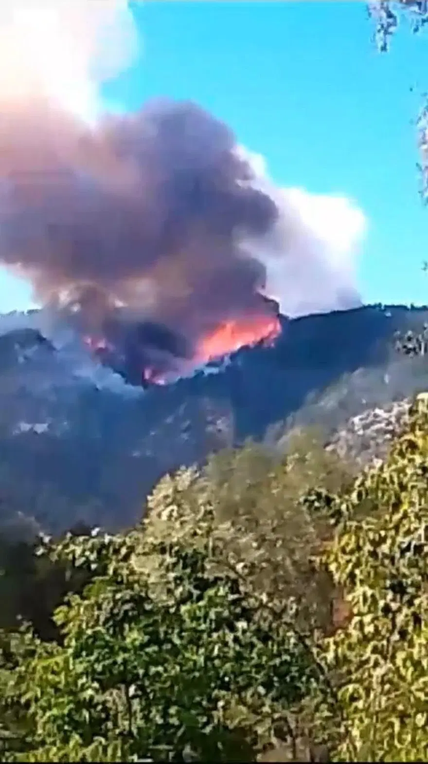 KARABÜK'TE ORMAN YANGINI 51 KARABÜK'TE ORMAN YANGINI 51