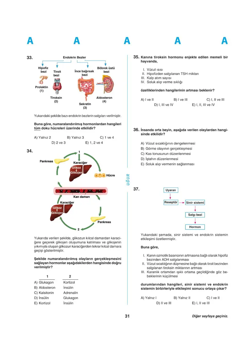 YKS - AYT deneme sınavı 30