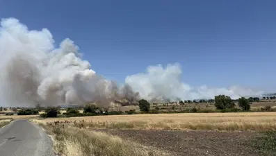 Çanakkale'de orman yangını: Bir kişi hakkında adli işlem