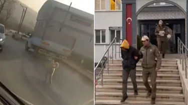 Bursa'da köpeğe eziyet