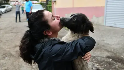 Artvin'de selin vurduğu barınakta mahsur kalan köpekler böyle kurtarıldı